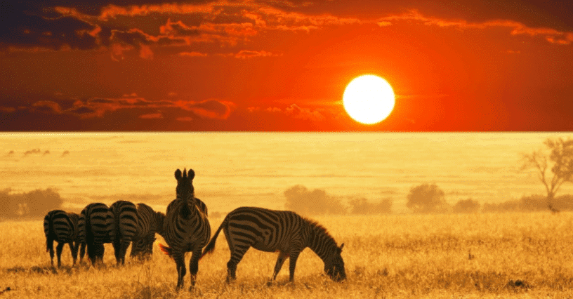 Investing in Africa