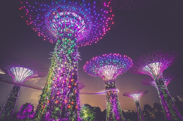 Investera Singapore