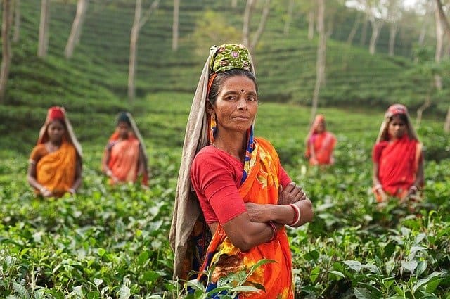 investera indien