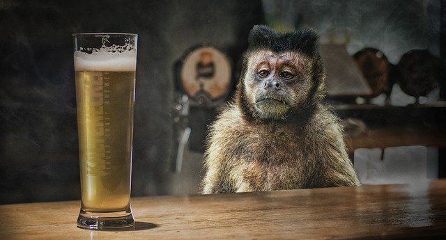 Köp AB inBev-aktier